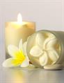 Pure Fiji - Island Candle - Individually Boxed - 90ml